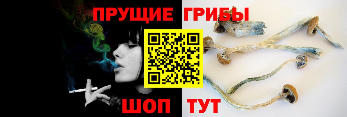 Псилоцибиновые грибы ЛСД Уварово